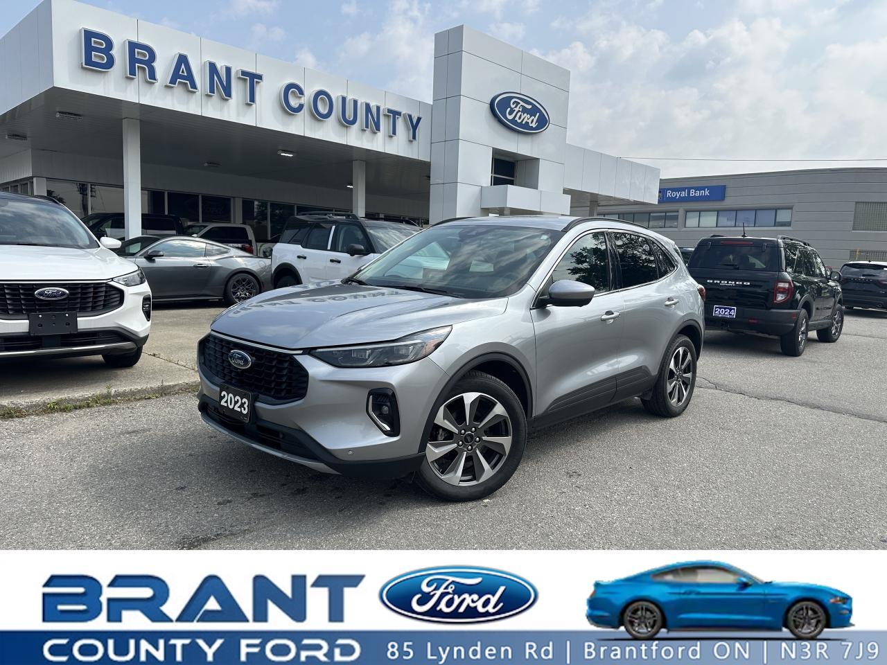 Used 2023 Ford Escape Platinum for sale in Brantford, ON