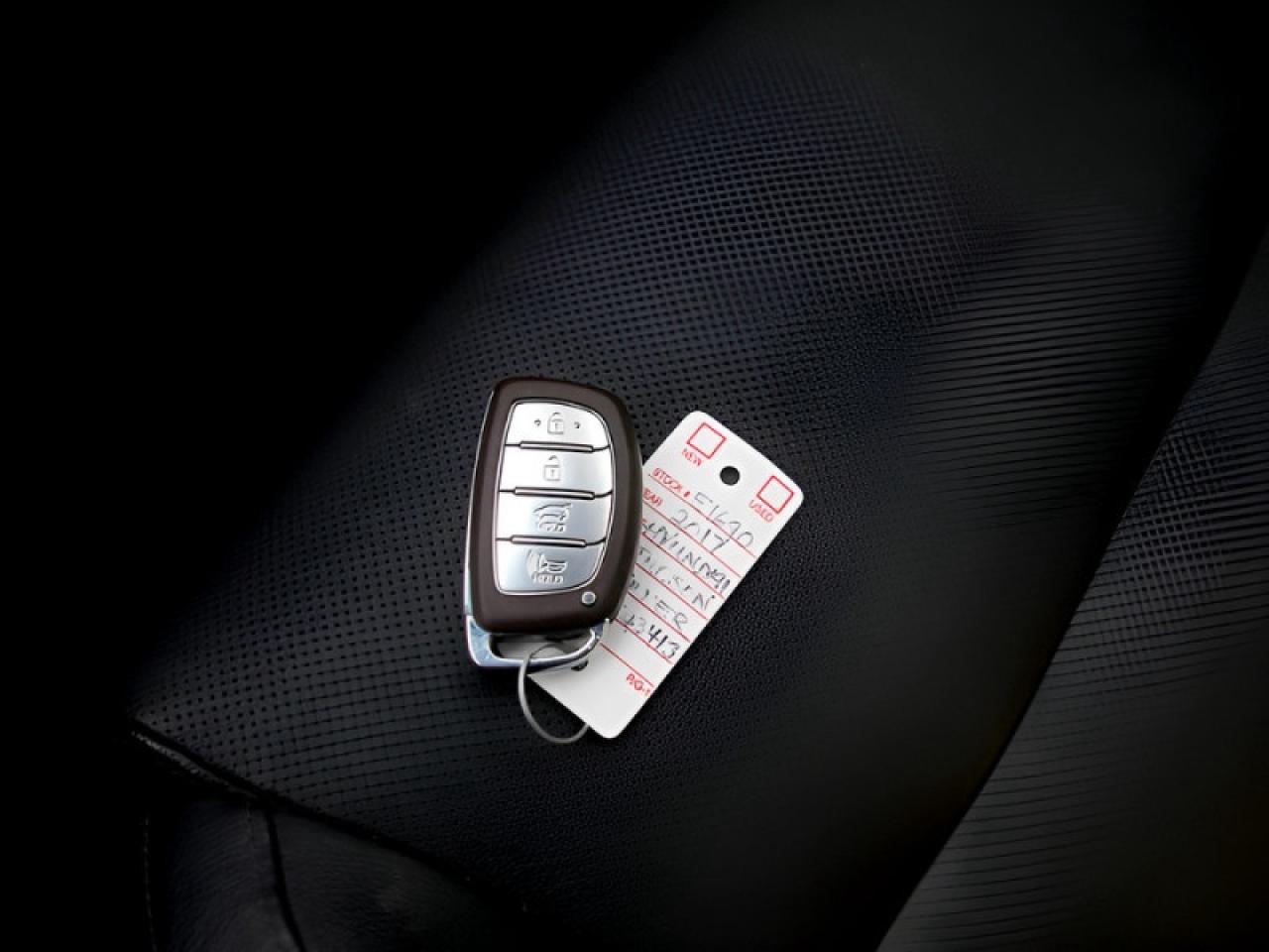 2017 Hyundai Tucson Limited  **PANO ROOF - HTD SW** Photo