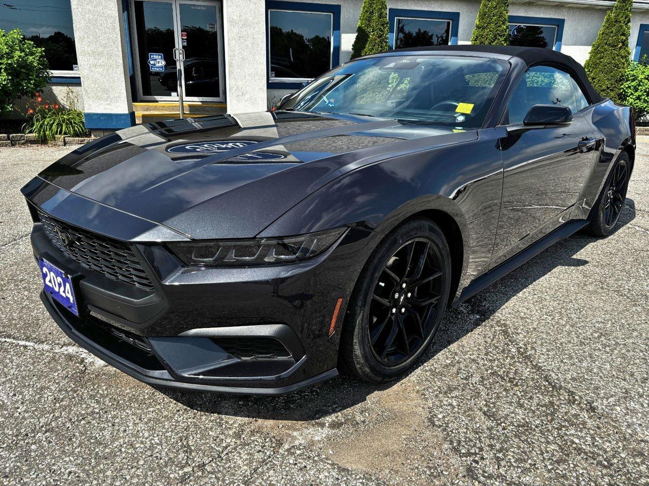 Used 2024 Ford Mustang EcoBoost Premium for sale in Essex, ON