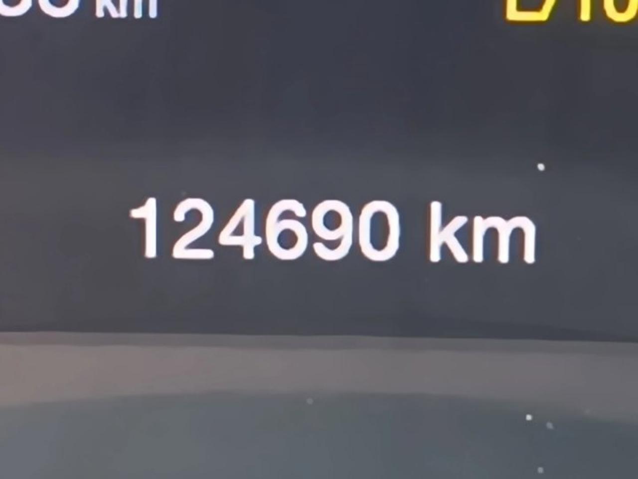 12733446