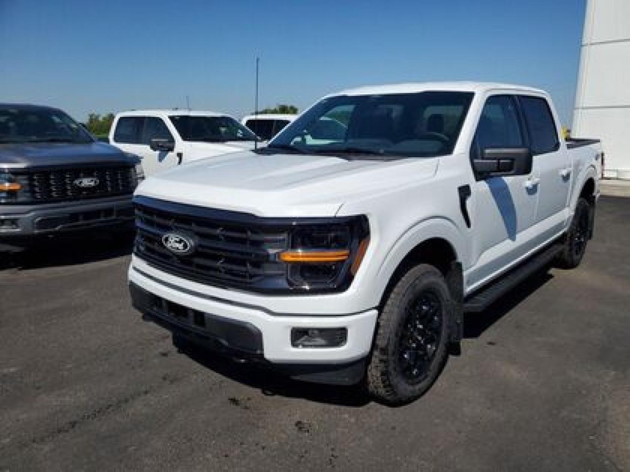 New 2025 Ford F-150 XLT W/REVERSE PARK ASSIST for sale in Moose Jaw, SK