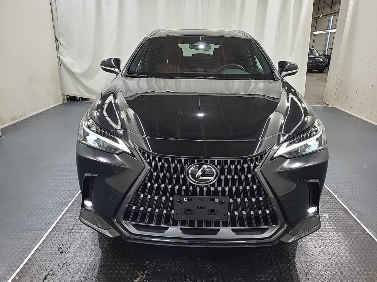 2024 Lexus NX NX 350 - Photo #5