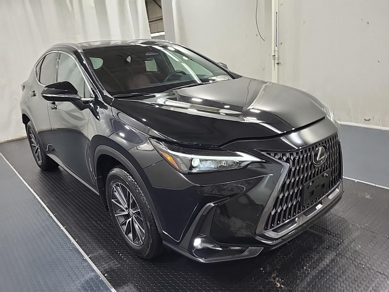 Used 2024 Lexus NX NX 350 for sale in Toronto, ON