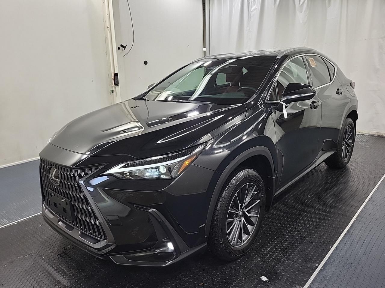 2024 Lexus NX NX 350 - Photo #4