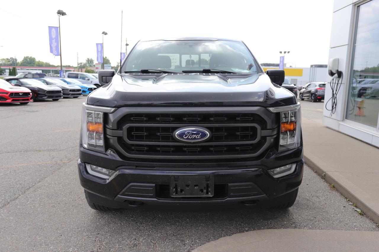 2022 Ford F-150 XLT 4WD SuperCrew 5.5' Box Photo5