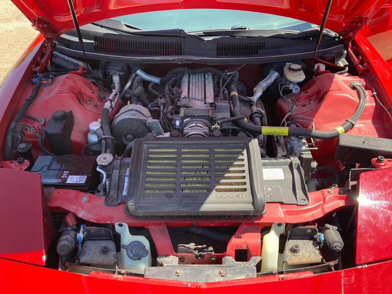 1997 Pontiac Firebird Trans Am - Photo #7