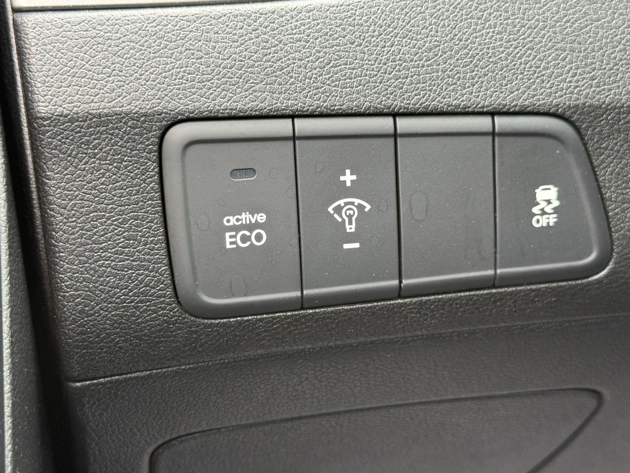 2013 Hyundai Elantra Limited - Photo #17