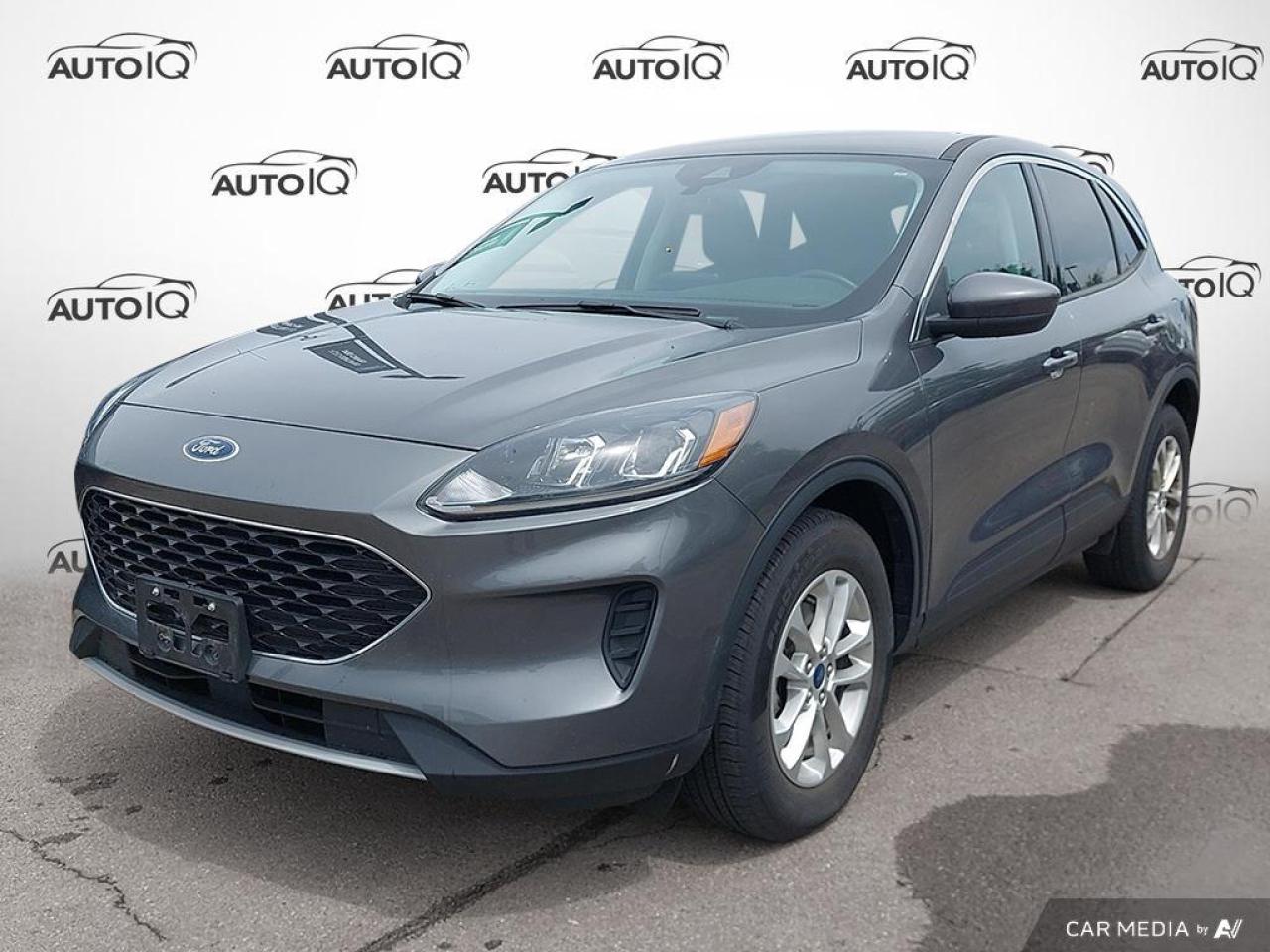 Used 2021 Ford Escape SE for sale in Hamilton, ON