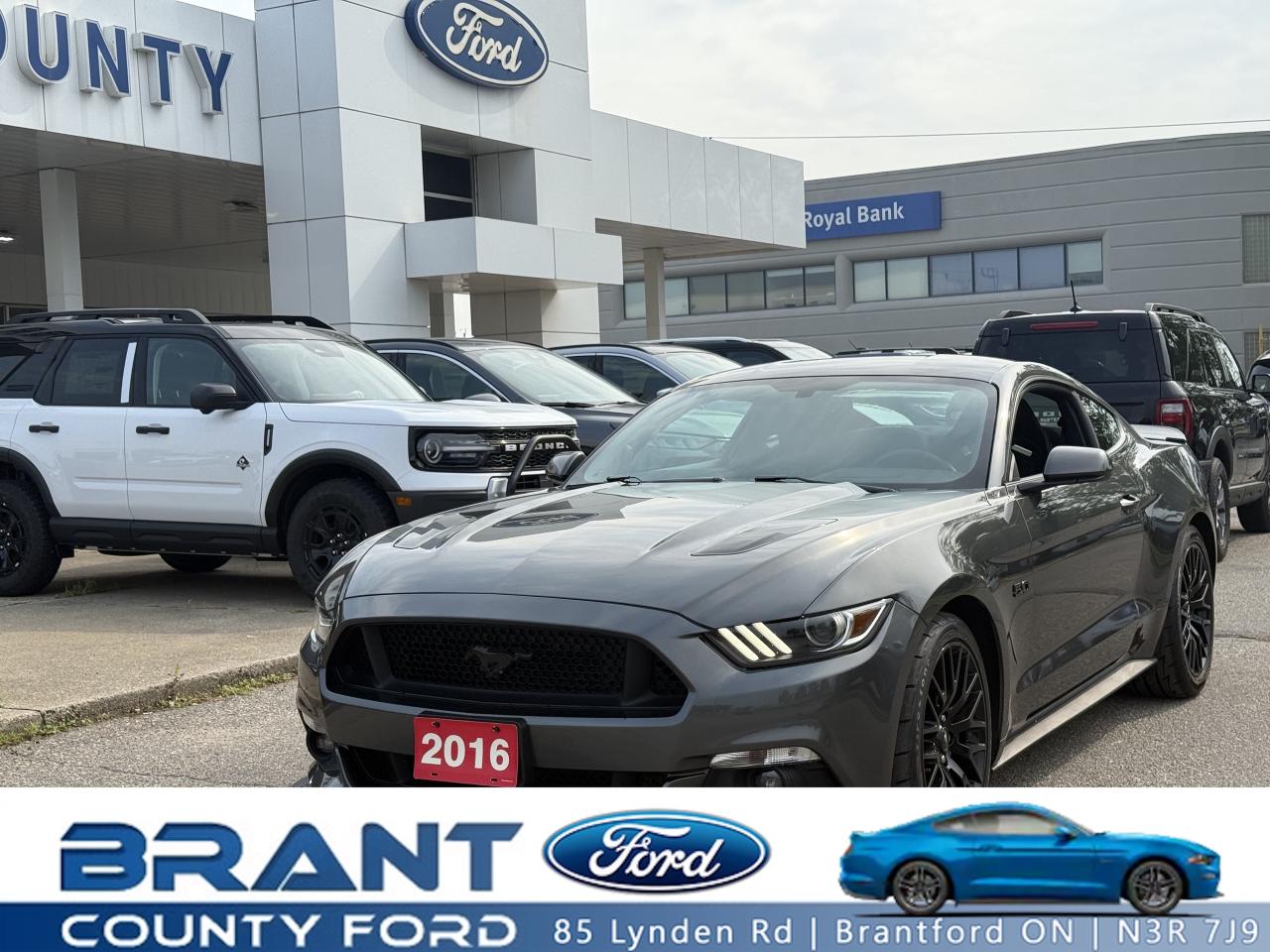 Used 2016 Ford Mustang GT| 5.0L | BORLA EXHAUST | 6 SPEED MANUAL | for sale in Brantford, ON