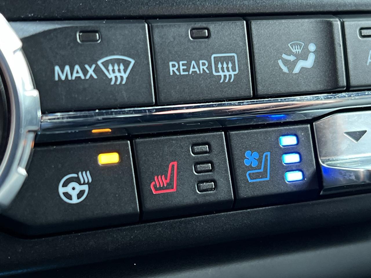 2021 Ford F-150 TREMOR 4X4| COOLED LEATHER| PANO ROOF| 360 CAM Photo