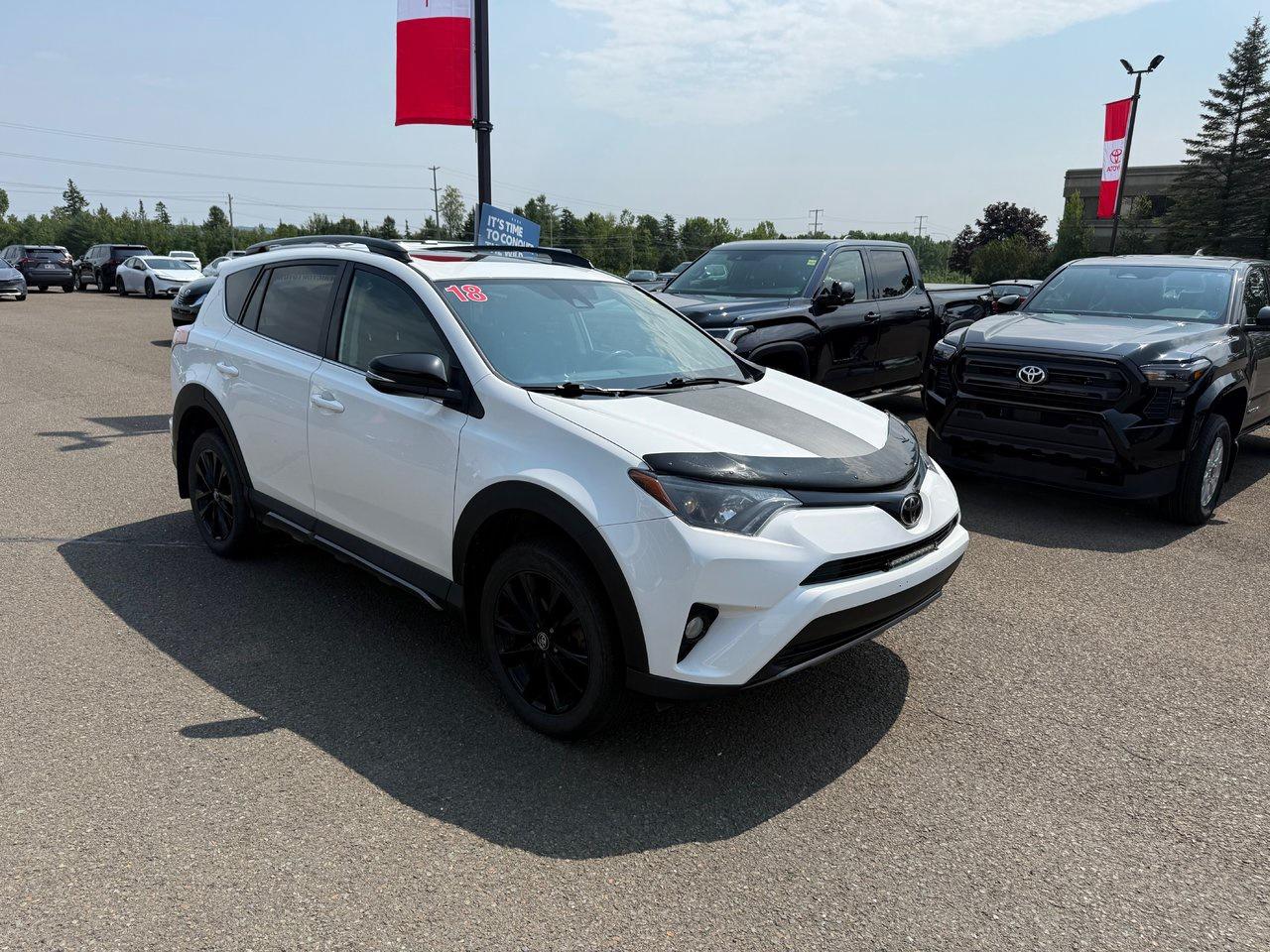 2018 Toyota RAV4 XLE Photo