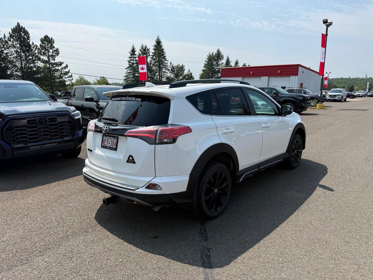 2018 Toyota RAV4 XLE Photo4