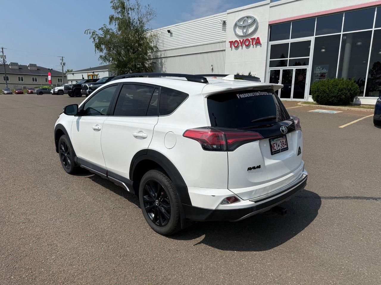2018 Toyota RAV4 XLE Photo
