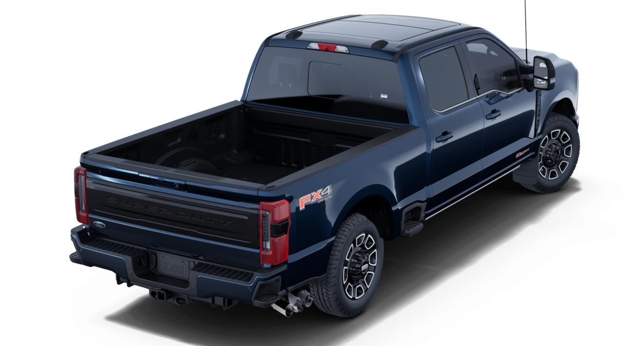 2025 Ford F-350 Super Duty SRW PLATINUM Photo