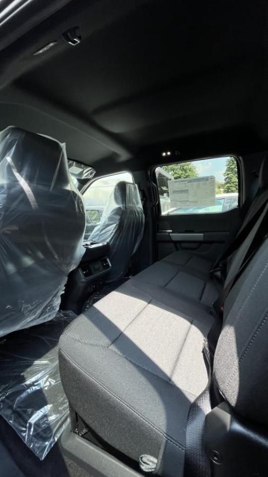 2025 Ford F-150 Hybrid XLT Photo3