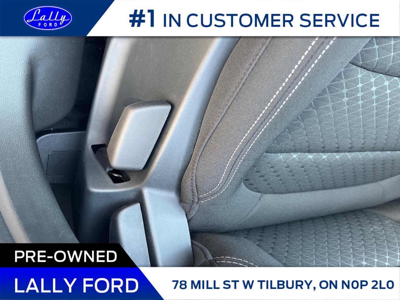 2025 Ford Escape Active Photo