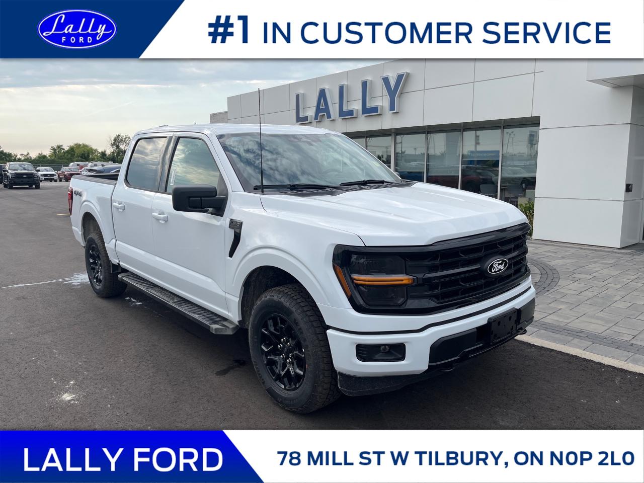 New 2025 Ford F-150 XLT for sale in Tilbury, ON