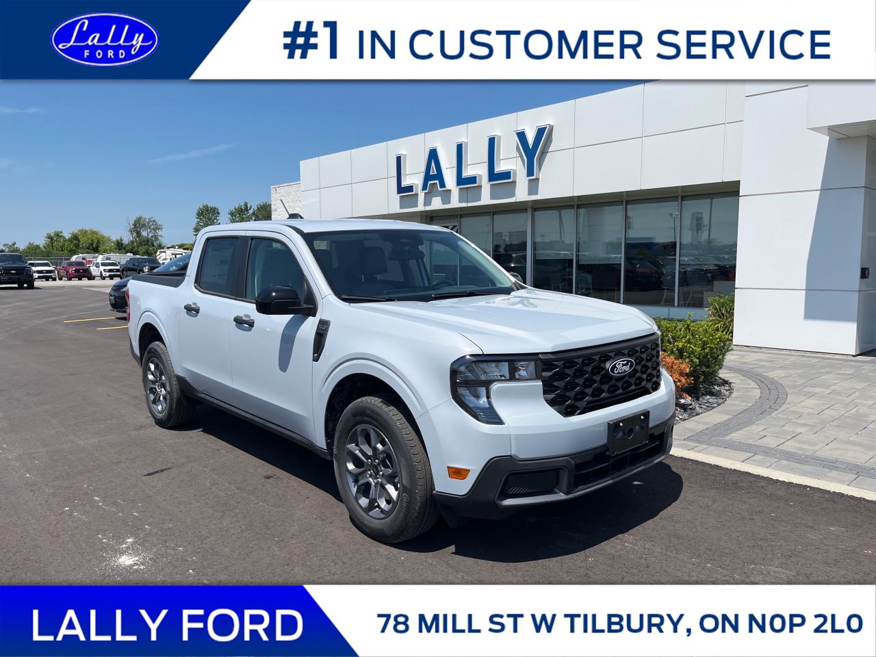 New 2025 Ford Maverick XLT for sale in Tilbury, ON