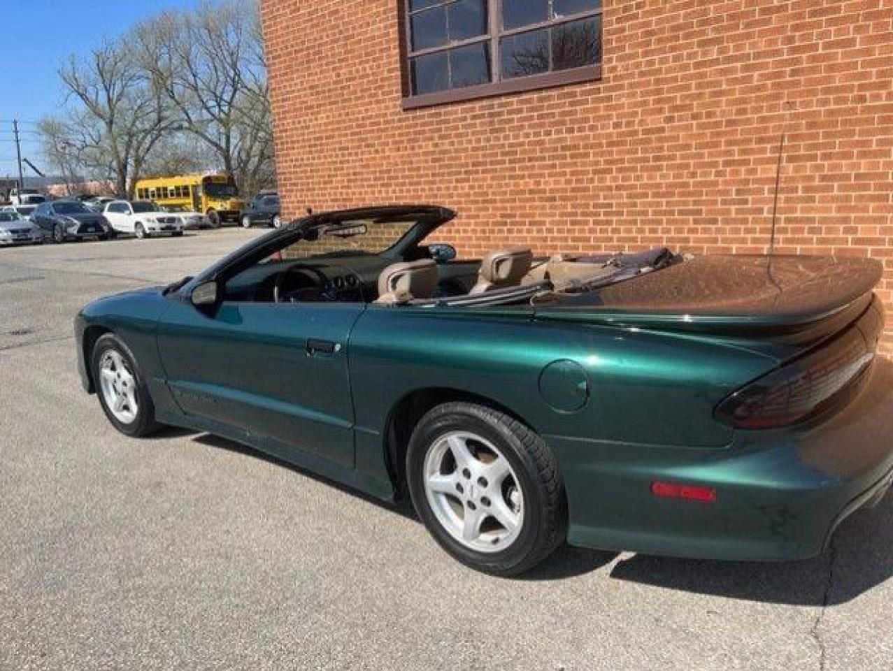 1995 Pontiac Trans Am CONVERTABLE/LEATHER/5.7 LITRE Photo2