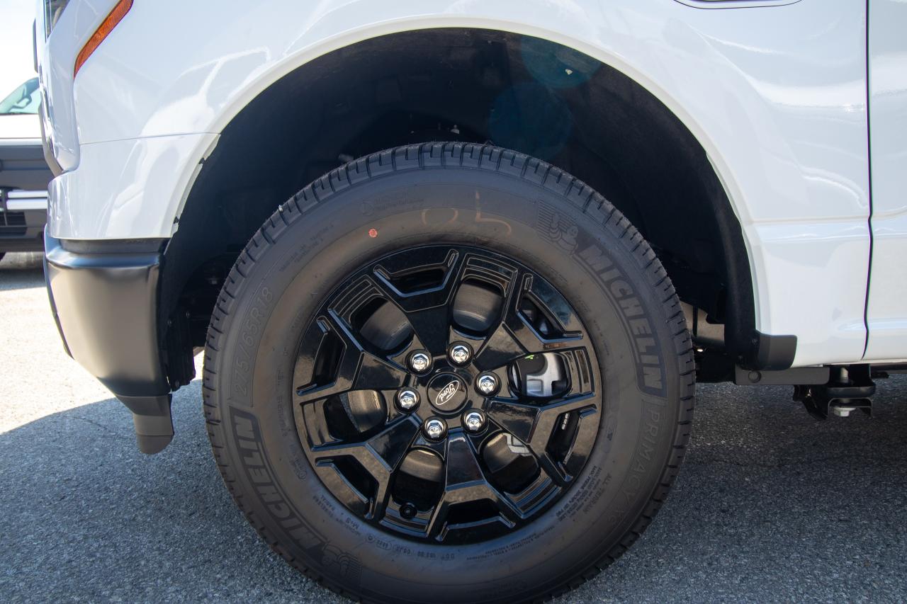 2025 Ford F-150 Lightning PRO 4WD SUPERCREW 5.5' BOX Photo5