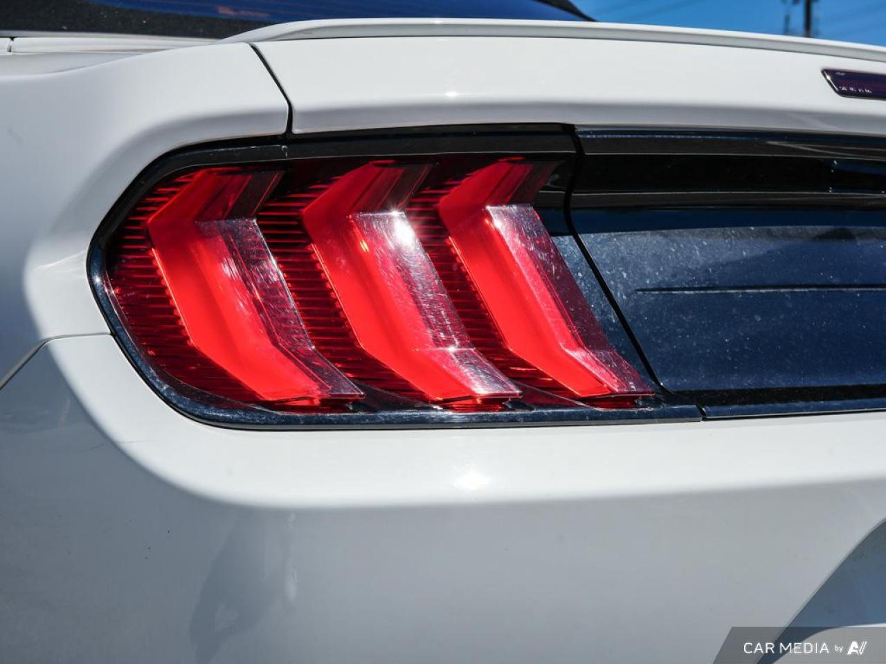 2020 Ford Mustang GT Premium LEATHER TRIMMED | OVER-THE-TOP RACING STRIPE Photo