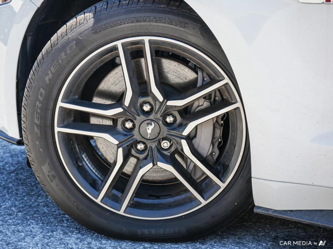 2020 Ford Mustang GT Premium LEATHER TRIMMED | OVER-THE-TOP RACING STRIPE Photo