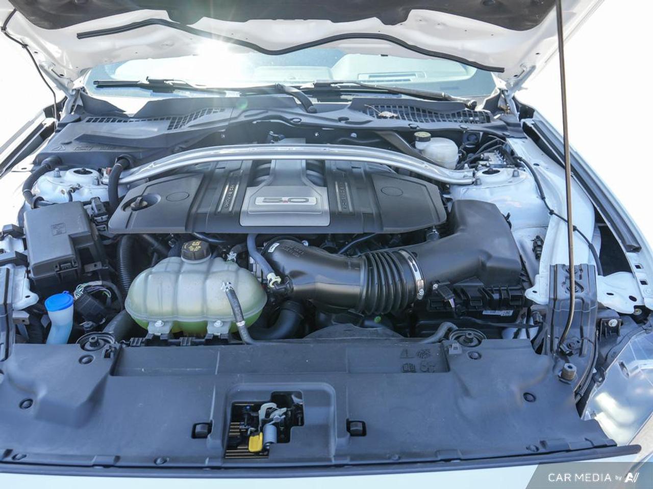 2020 Ford Mustang GT Premium LEATHER TRIMMED | OVER-THE-TOP RACING STRIPE Photo