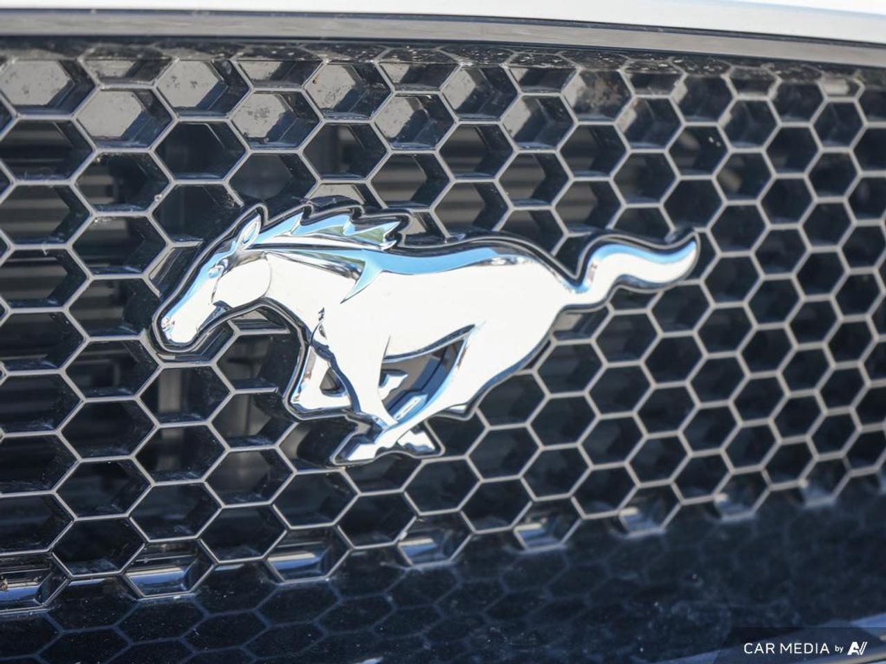 2020 Ford Mustang GT Premium LEATHER TRIMMED | OVER-THE-TOP RACING STRIPE Photo