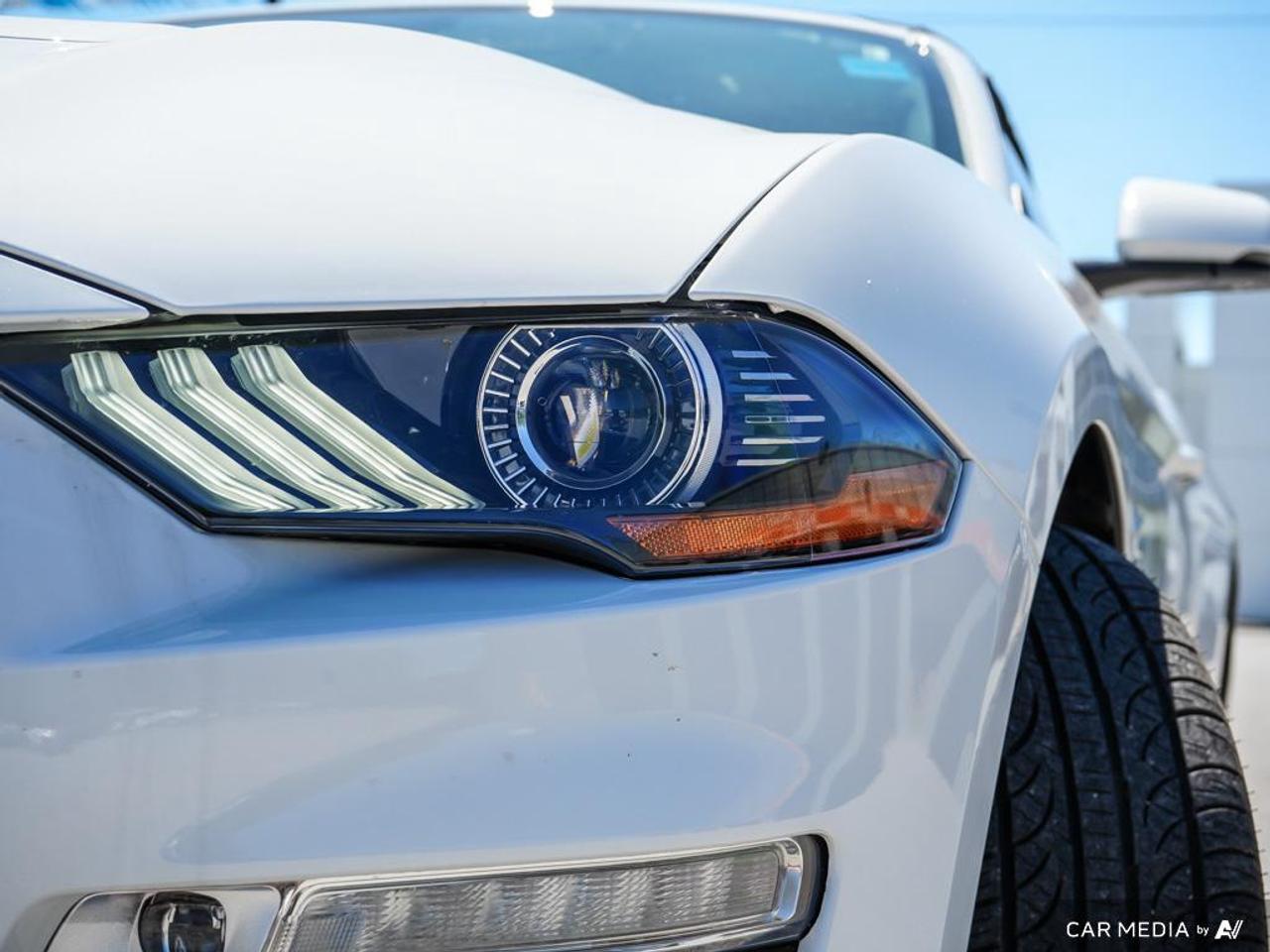 2020 Ford Mustang GT Premium LEATHER TRIMMED | OVER-THE-TOP RACING STRIPE Photo