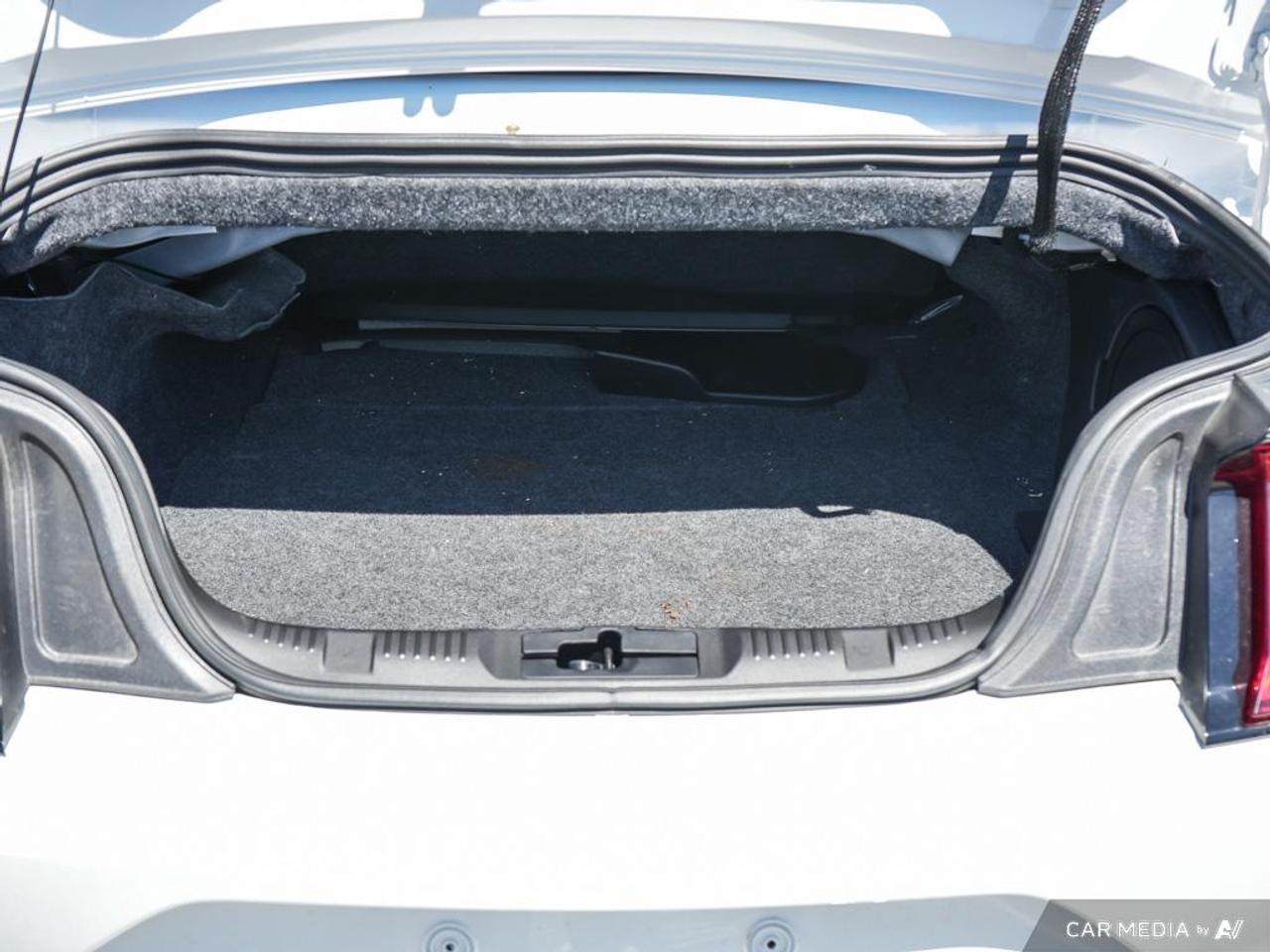 2020 Ford Mustang GT Premium LEATHER TRIMMED | OVER-THE-TOP RACING STRIPE Photo