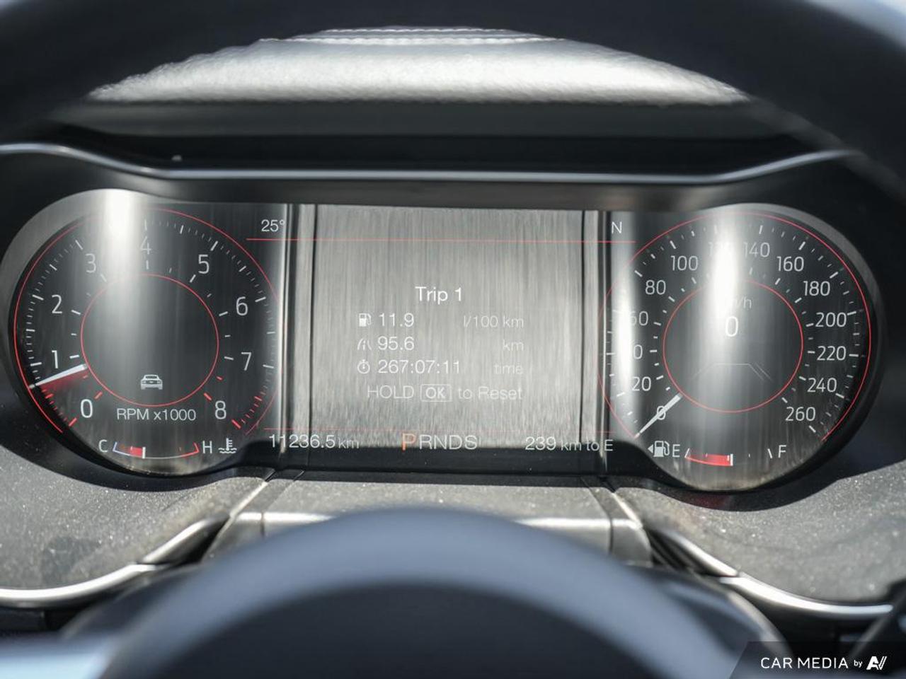 2020 Ford Mustang GT Premium LEATHER TRIMMED | OVER-THE-TOP RACING STRIPE Photo