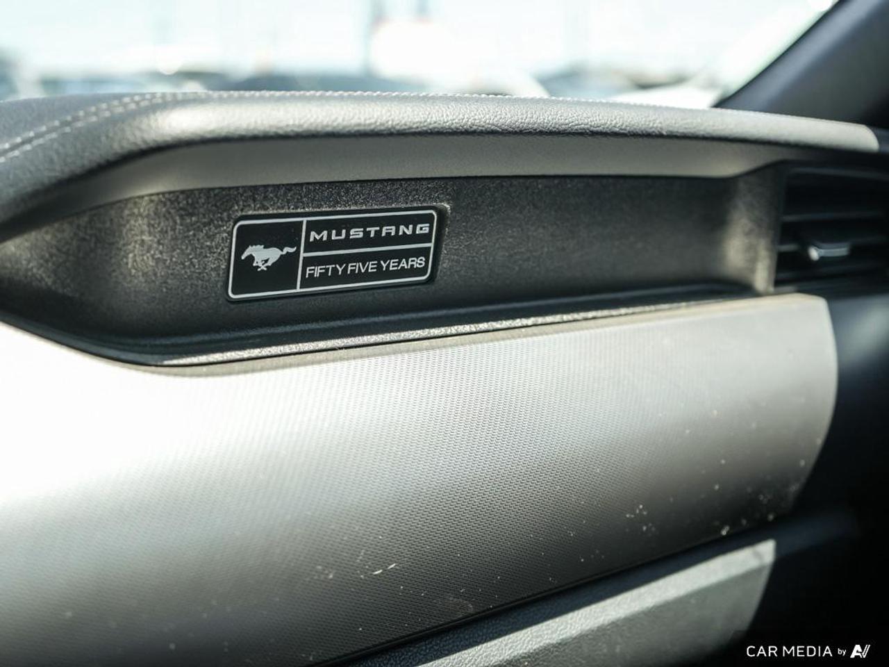 2020 Ford Mustang GT Premium LEATHER TRIMMED | OVER-THE-TOP RACING STRIPE Photo