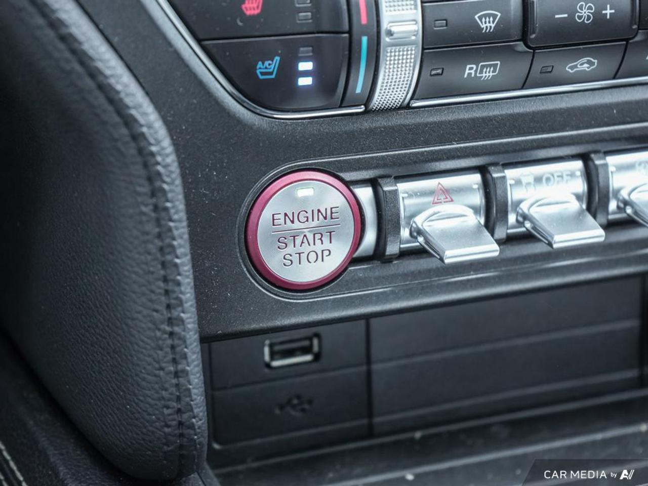 2020 Ford Mustang GT Premium LEATHER TRIMMED | OVER-THE-TOP RACING STRIPE Photo