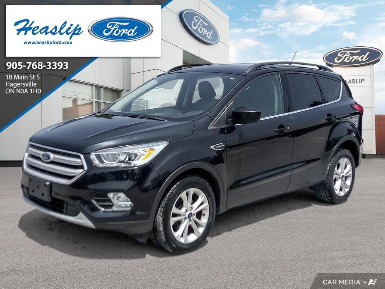 Used 2019 Ford Escape SEL for sale in Hagersville, ON
