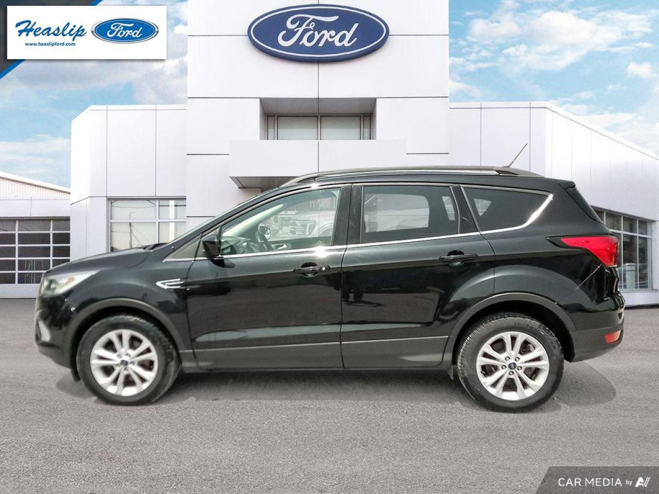 2019 Ford Escape SEL Photo2