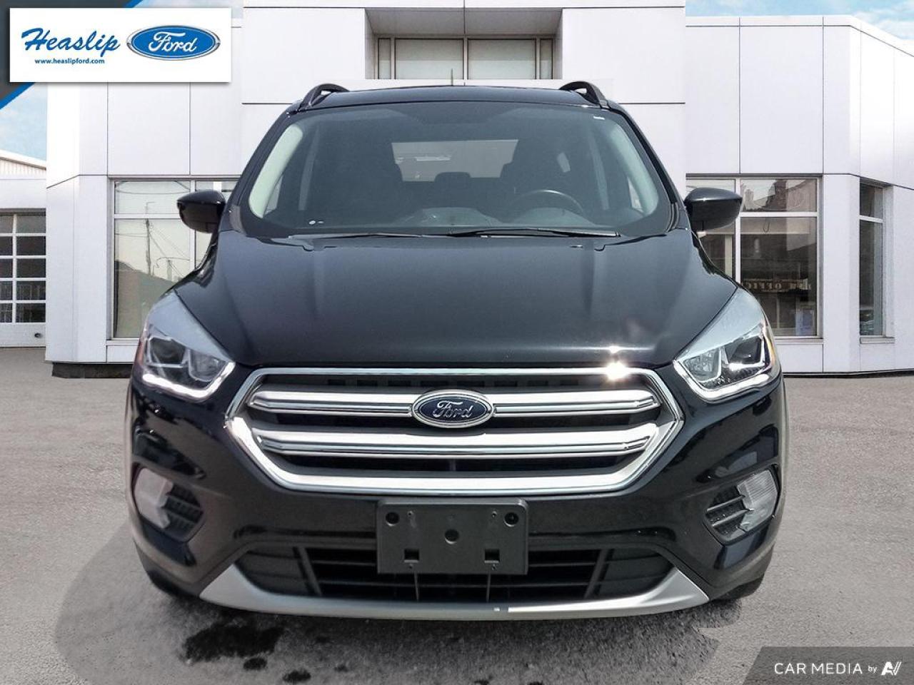 2019 Ford Escape SEL Photo