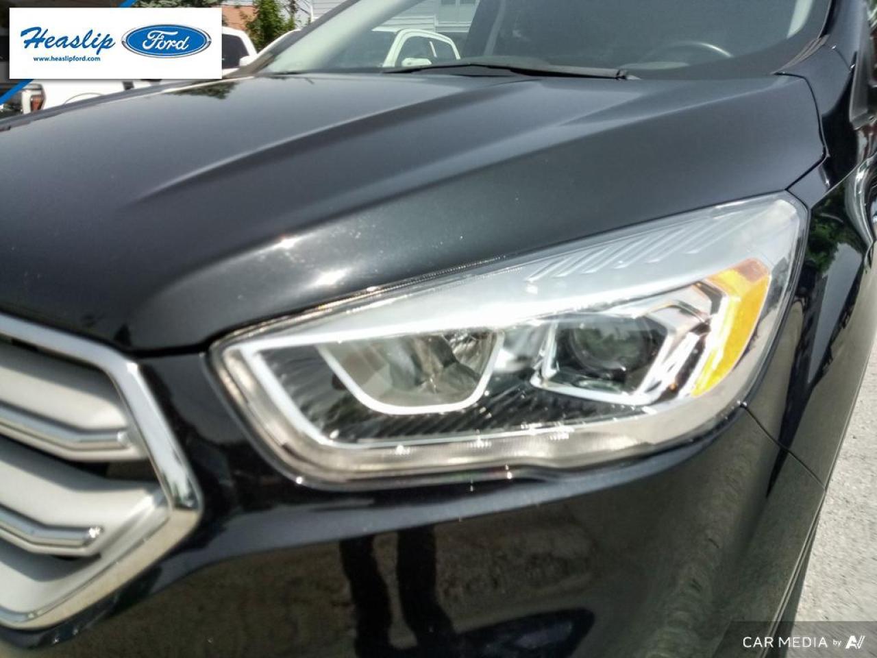 2019 Ford Escape SEL Photo5