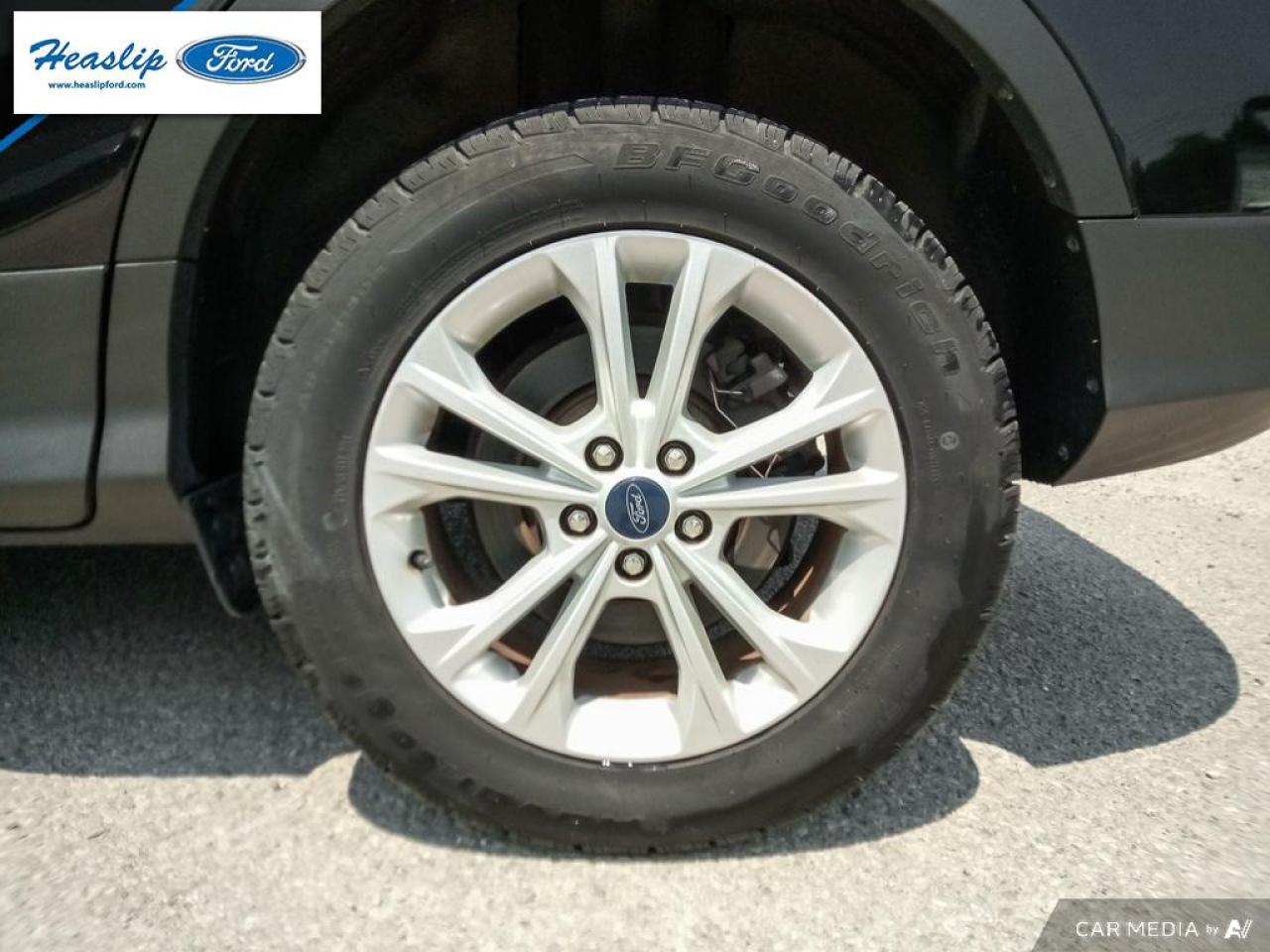 2019 Ford Escape SEL Photo5