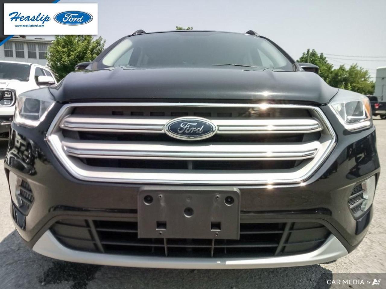 2019 Ford Escape SEL Photo5