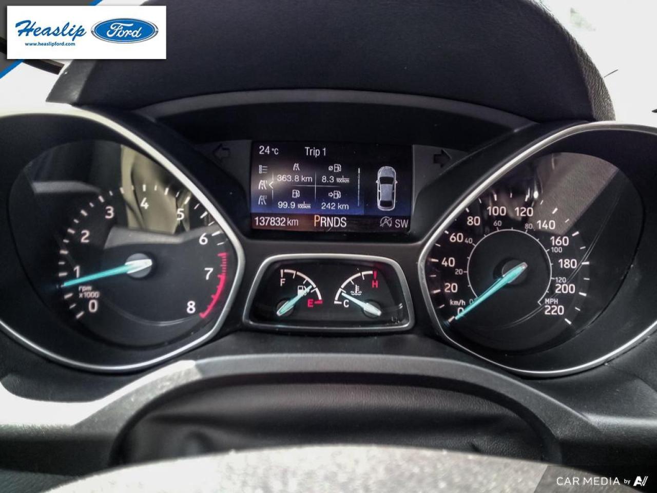 2019 Ford Escape SEL Photo5