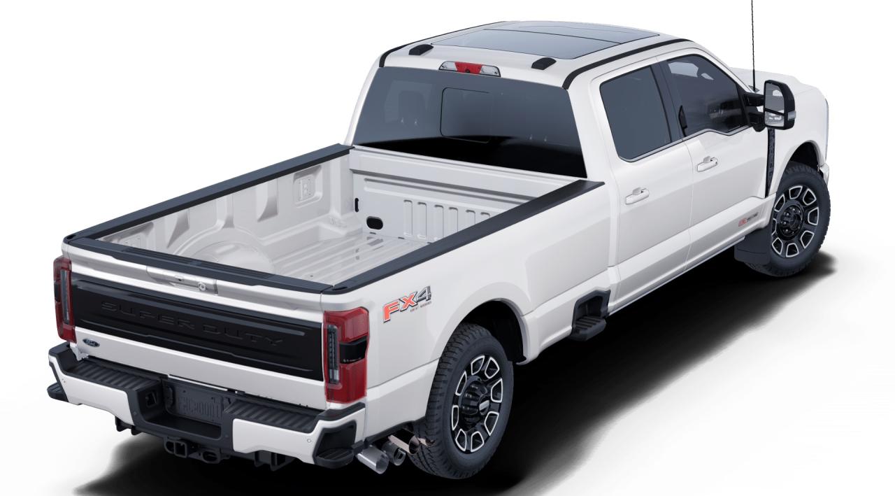 2025 Ford F-350 Super Duty SRW PLATINUM Photo2