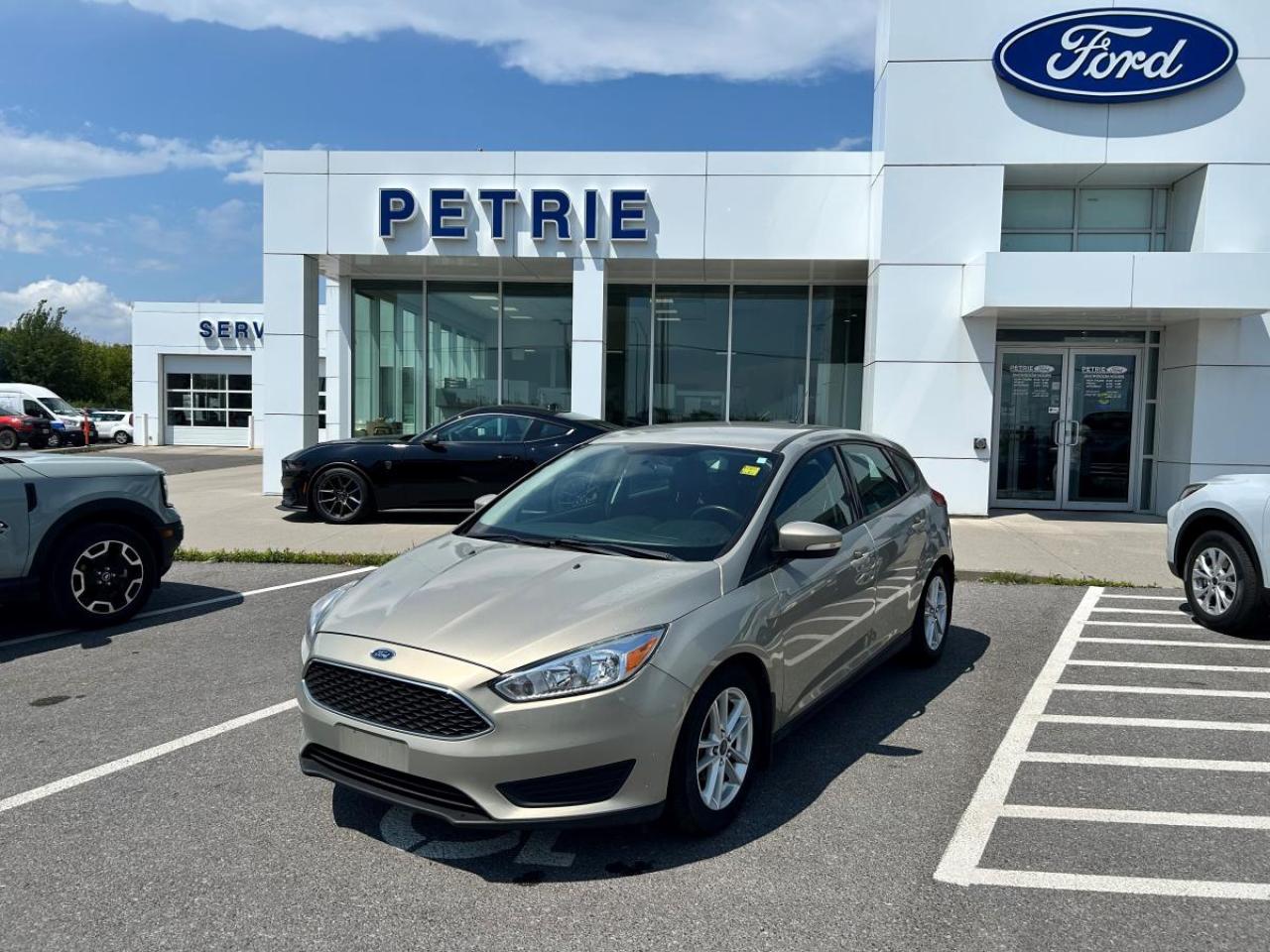 Used 2016 Ford Focus SE for sale in Kingston, ON