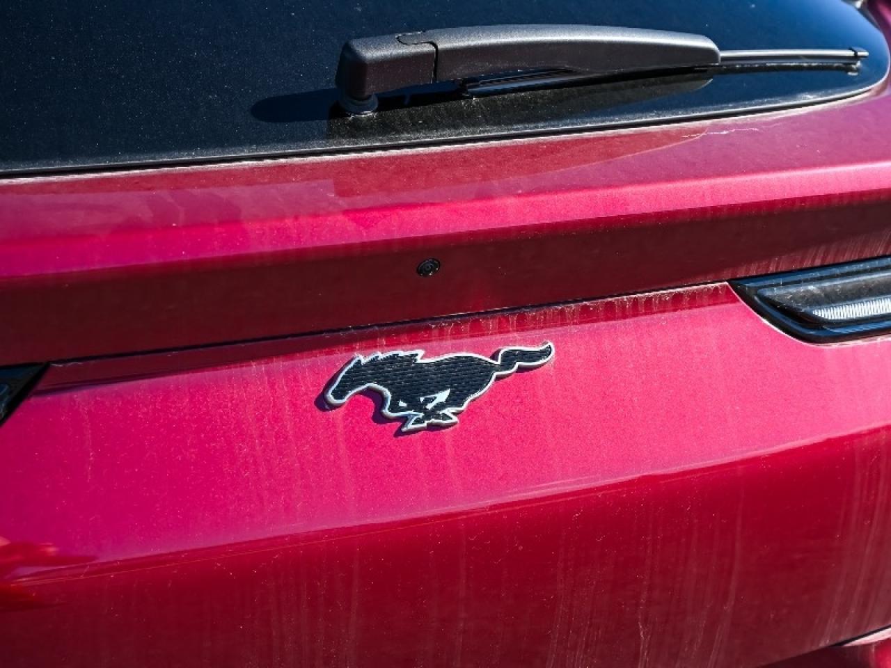2025 Ford Mustang Mach-E Premium Photo4