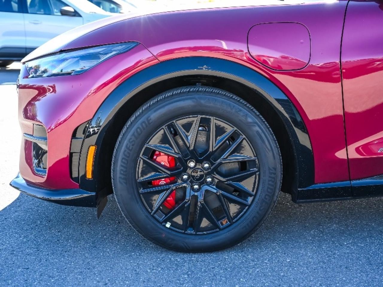 2025 Ford Mustang Mach-E Premium Photo