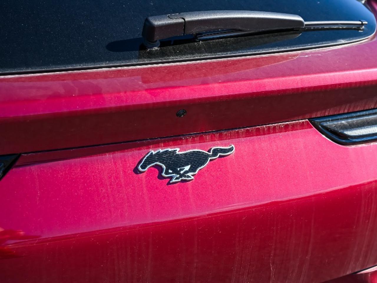 2025 Ford Mustang Mach-E Premium Photo