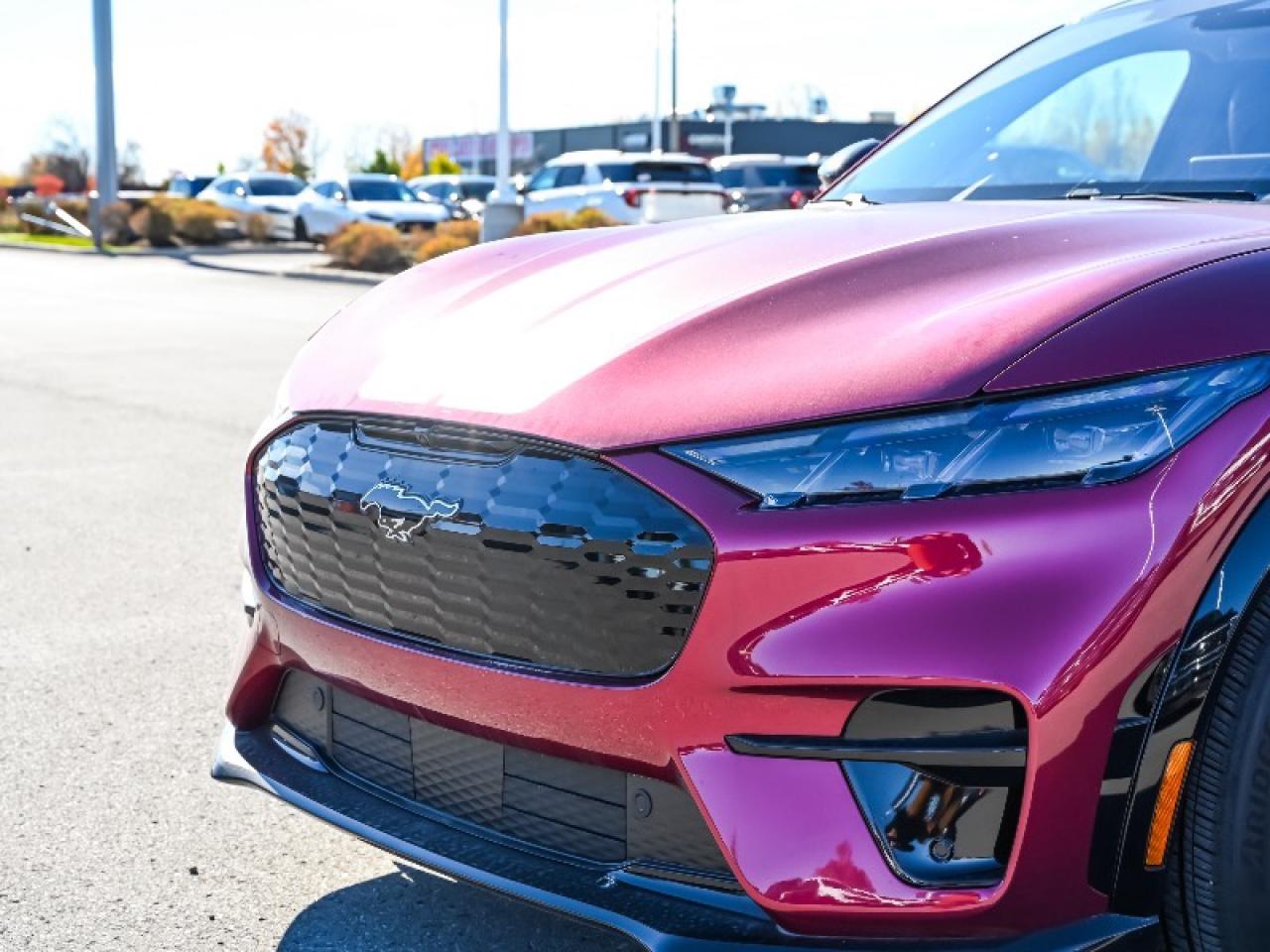 2025 Ford Mustang Mach-E Premium Photo