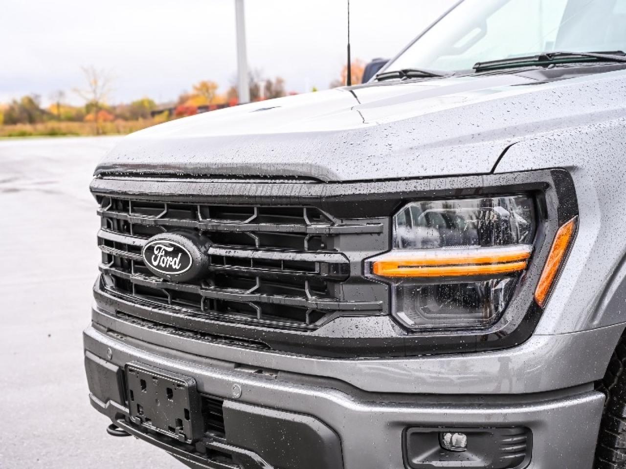 2025 Ford F-150 XLT Photo