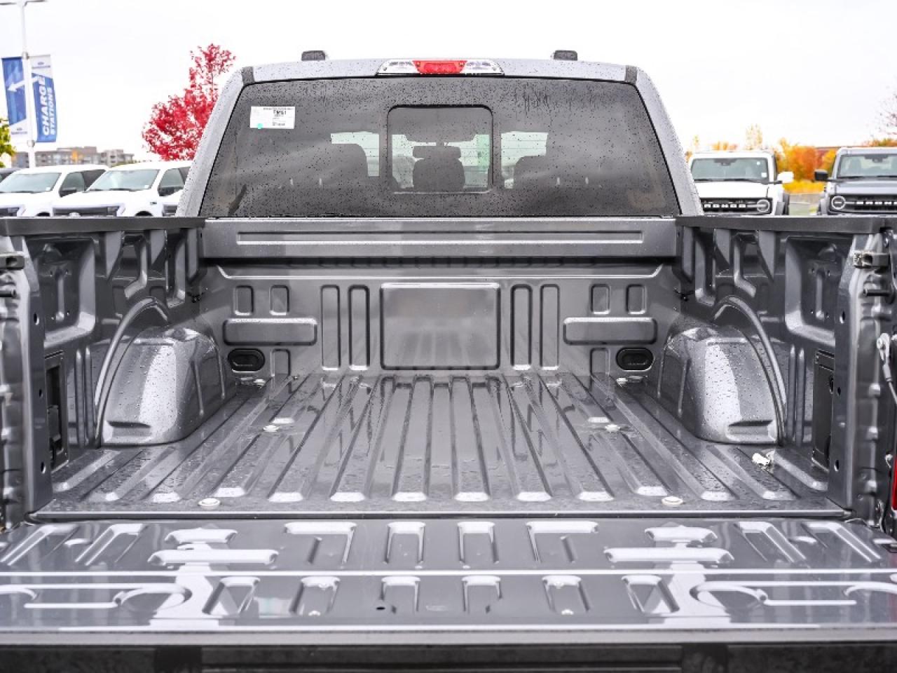 2025 Ford F-150 XLT Photo