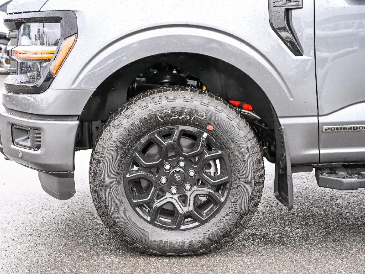 2025 Ford F-150 XLT Photo