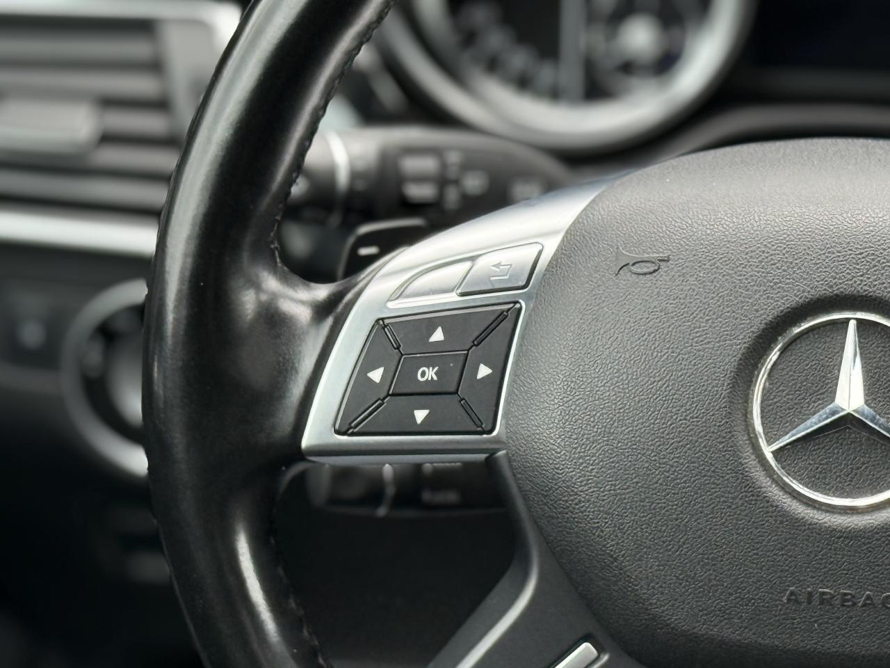 2013 Mercedes-Benz ML-Class 350 BLUETEC | HARMAN KARDON | PANO | LOADED - Photo #20